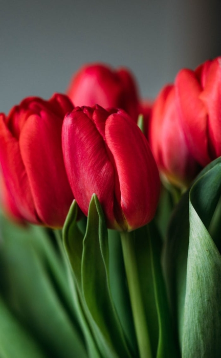 seo����Ҫע��ʲô��